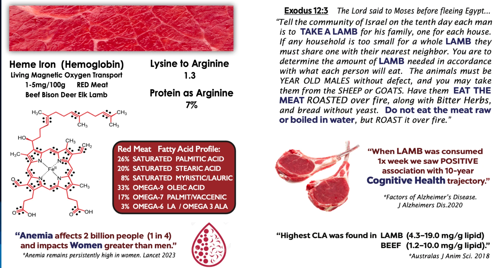 Red meat — sample page from Conquering ANY Disease