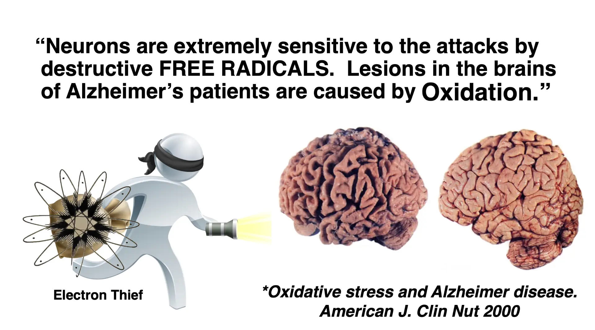 Oxidative stress — sample page from Conquering ANY Disease